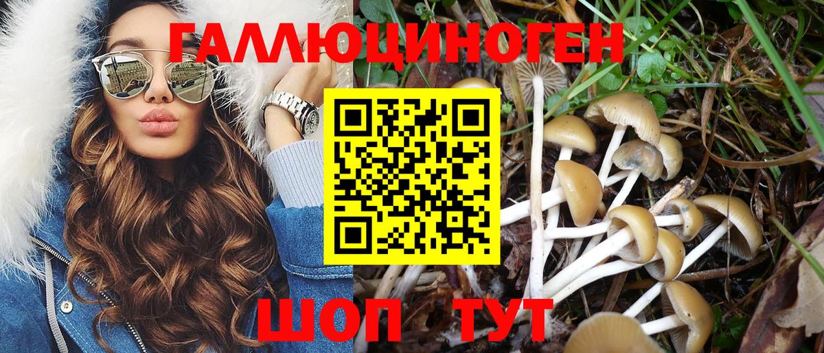 Галлюциногенные грибы GOLDEN TEACHER  Галлюциногенные грибы Psilocybe  Светлоград  Вход с VPN 