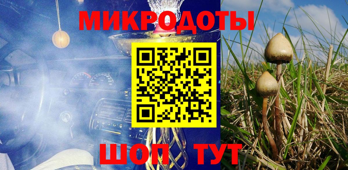 Галлюциногенные грибы Cubensis Светлоград