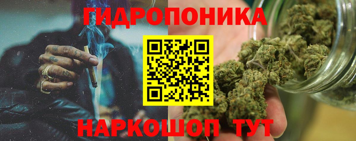 Каннабис SATIVA & INDICA Светлоград